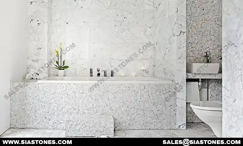 White Marble Bathroom 1