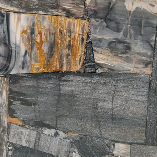 Black Petrified Wood Retro Gemstone Tile Sample