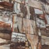 Brown Petrified Wood Retro Gemstone Tile Sample