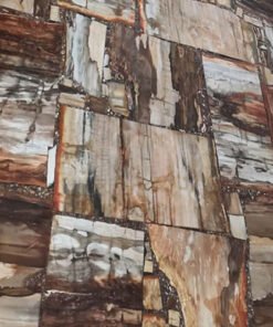 Brown Petrified Wood Retro Gemstone Tile Sample