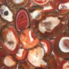 Red Agate Tile Sample