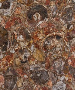 Red Petrified Wood Gemstone Tile Sample