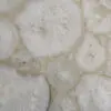 White Agate Tile Sample