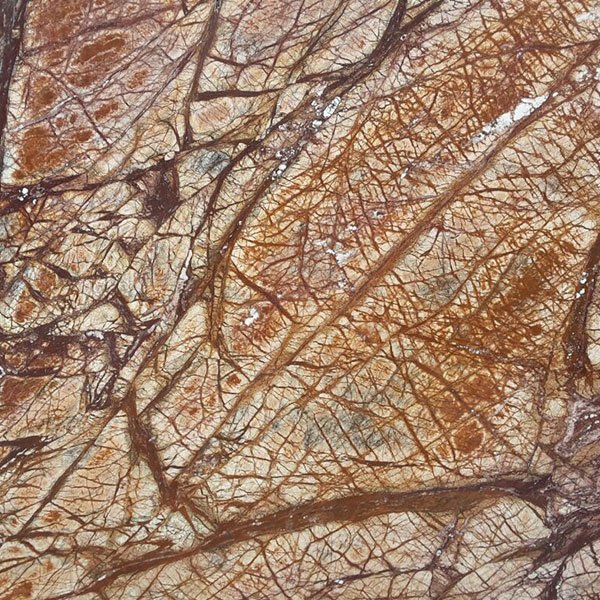 Rainforest Brown Marble